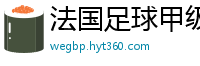 法国足球甲级联赛